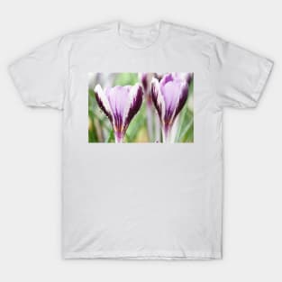 Crocus  'Spring Beauty' T-Shirt